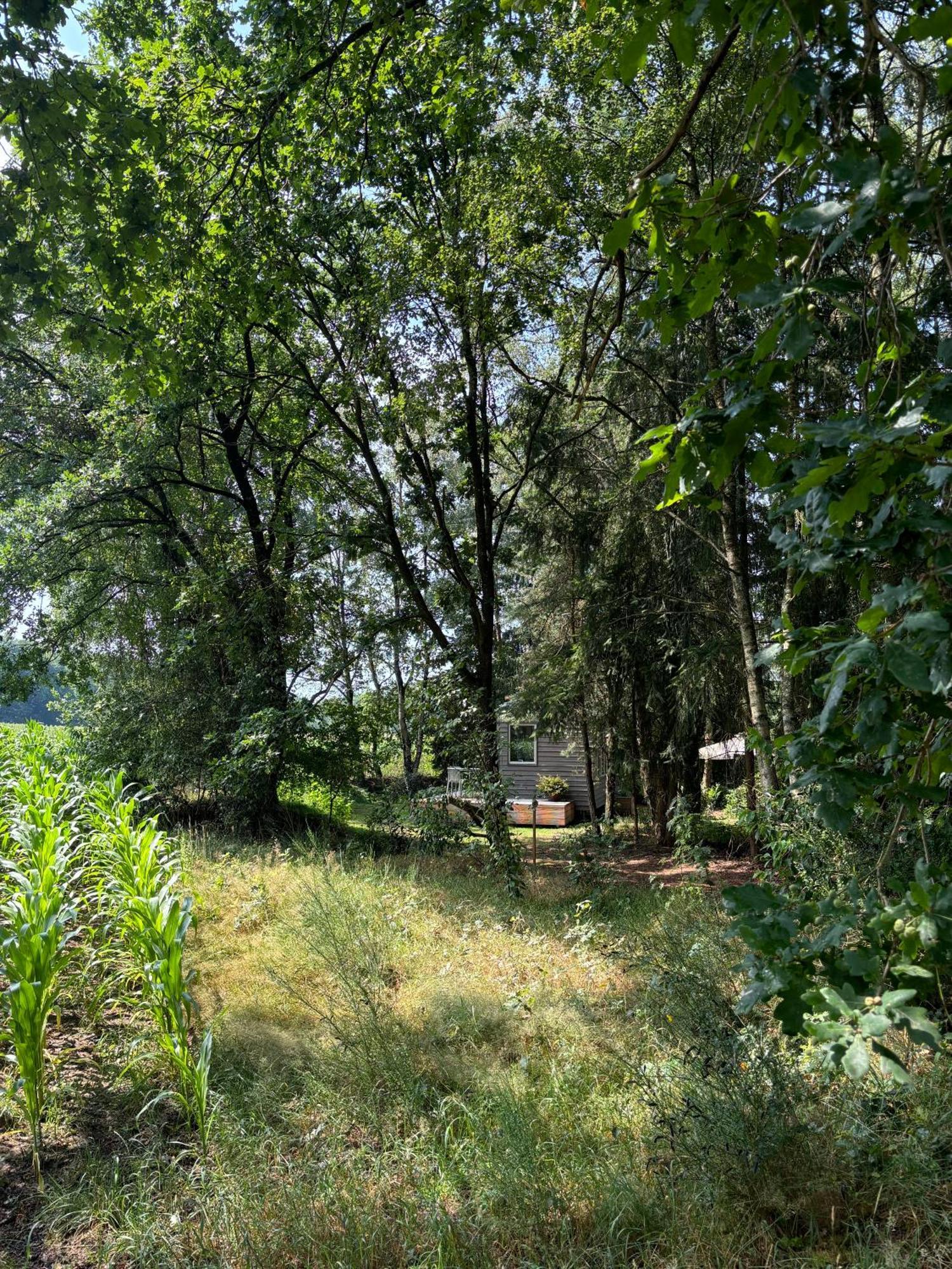 Tiny House Mit Garten In Der Lueneburger Heide Soltau Exterior photo